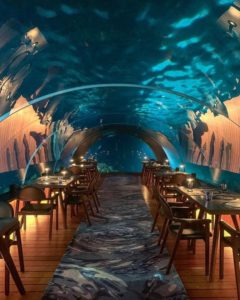 underwater restaurant in maldives 