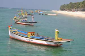 jalesh-cruises-lakshadweep 