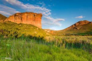 national-parks-in-south-africa 