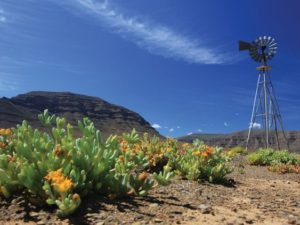 national-parks-in-south-africa 