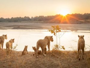 national-parks-in-south-africa 