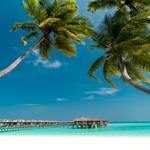 Maldives-Tour