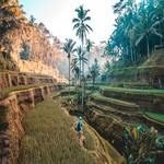 Bali-tourism