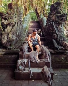 ubud monkey forest things to do in bali 