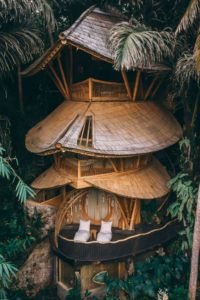 things to do in bali tree house 