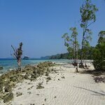 Havelock Island