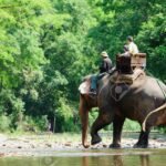 Elephant ride at Koh Samui