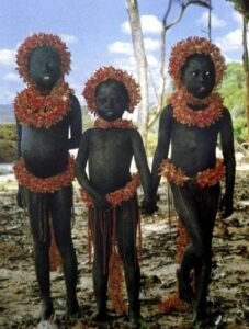 The Andaman and Nicobar Island Tribes