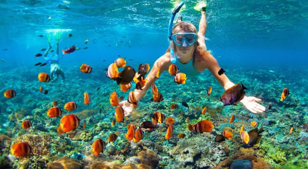 Snorkelling and diving