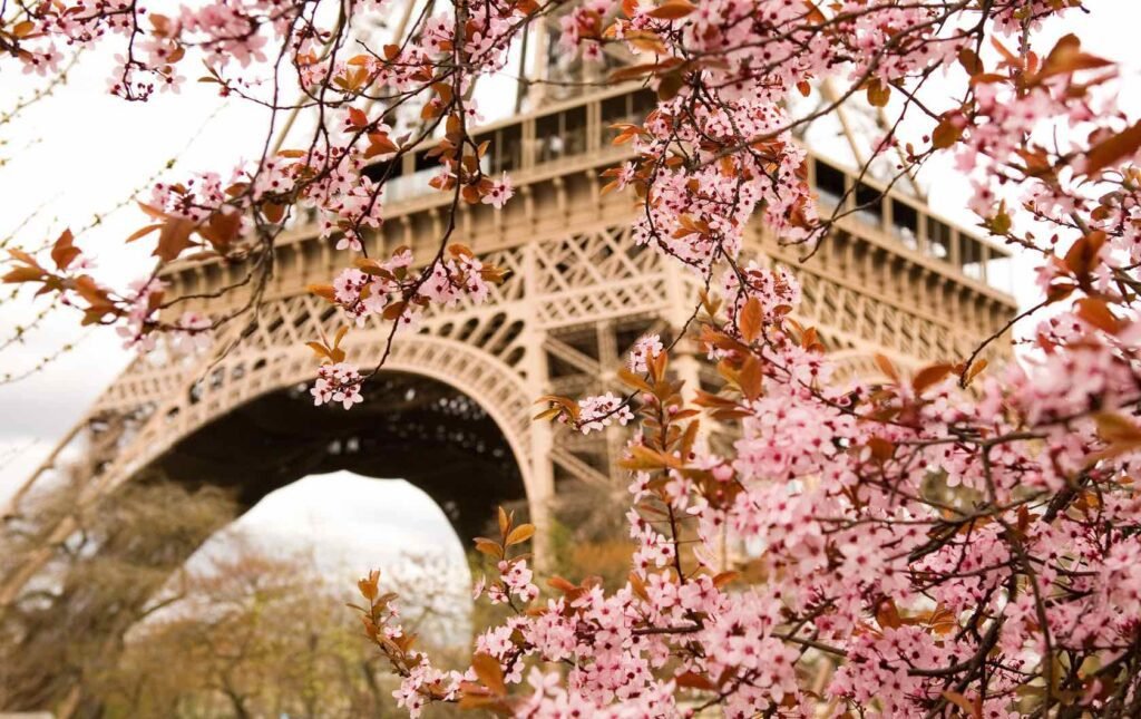 Spring Blooms in the Gardens of Paris in France in March