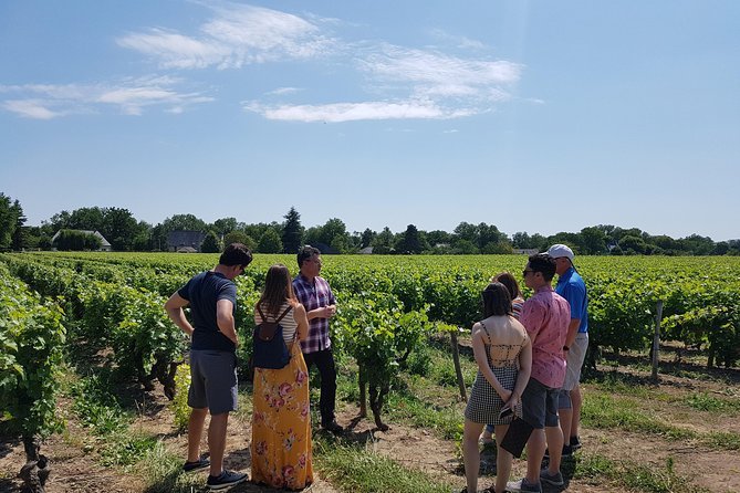 Wine Tasting in the Loire Valley