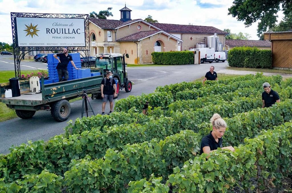  Bordeaux Wine Harvest in France in September