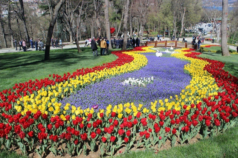 Istanbul Tulip Festival: A Burst of Color