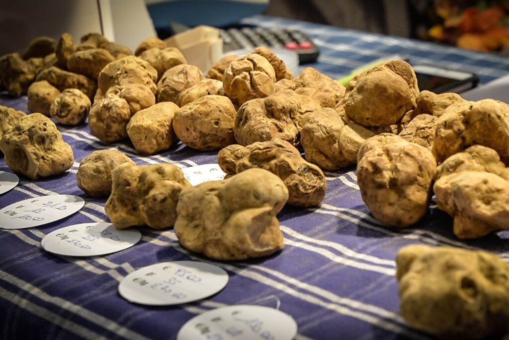 White Truffle Fair in Italy in January