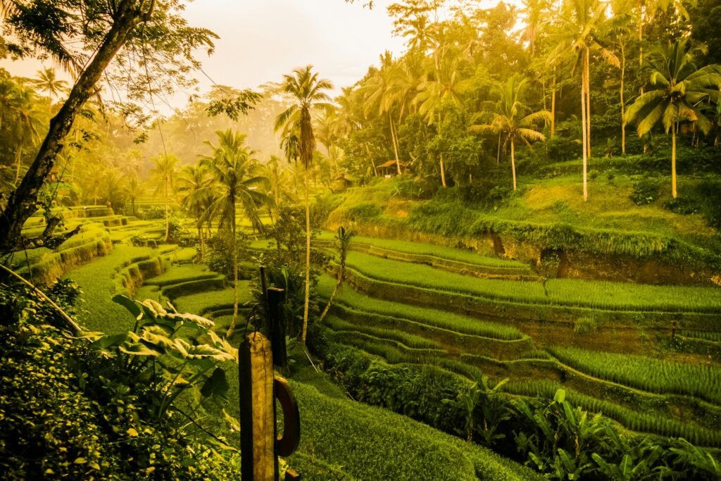 Ubud, Bali as a soul travel destinations